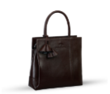 Ladies BAG